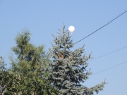 DSCN5820.JPG