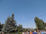 DSCN5811.JPG