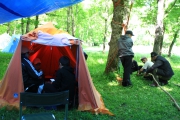 IMG_3833.JPG