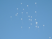 DSCN5814.JPG