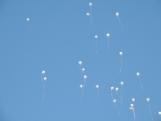 DSCN5815.JPG