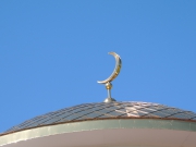 DSCN5658.JPG