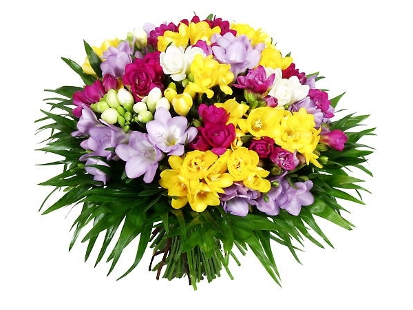 private-category-8yemwenv-img.jpg